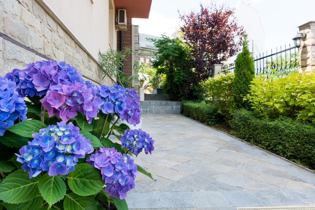 Siena House Hotell Sozopol Eksteriør bilde
